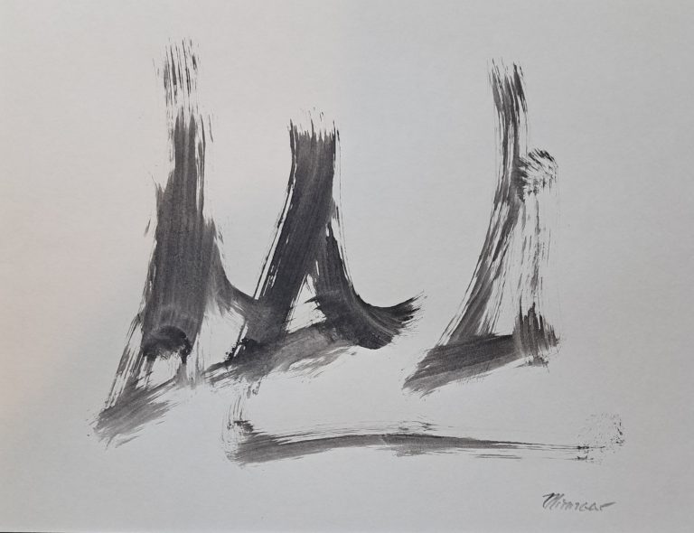 01446 JY 00005